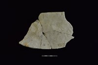 陶片藏品圖，第2張