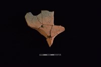 連杯形器藏品圖，第1張