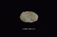 石材藏品圖，第2張