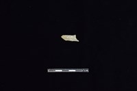 錛鑿形器藏品圖，第1張