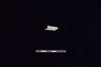 錛鑿形器藏品圖，第2張