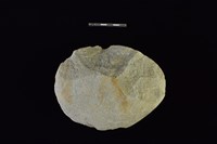 石核藏品圖，第1張