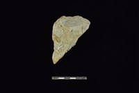 斧鋤形器藏品圖，第2張