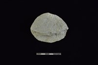 石片器藏品圖，第2張