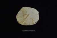 石片器藏品圖，第1張