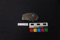 陶片藏品圖，第1張