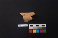 陶片藏品圖，第2張