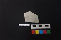 陶片藏品圖，第1張