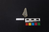 陶片藏品圖，第2張