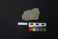 陶片藏品圖，第2張