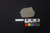 陶片藏品圖，第2張