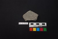 陶片藏品圖，第2張