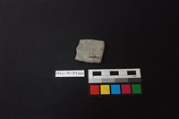 陶片藏品圖，第2張