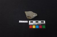 陶片藏品圖，第2張