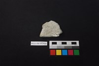 陶片藏品圖，第2張