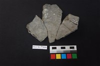 陶片藏品圖，第2張