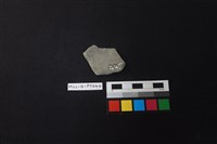 陶片藏品圖，第2張