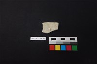 陶片藏品圖，第2張