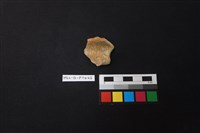 陶片藏品圖，第1張