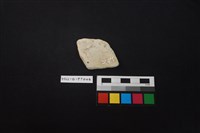 陶片藏品圖，第2張