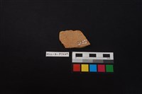 陶片藏品圖，第2張