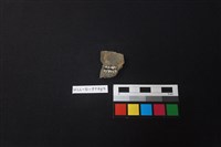 陶片藏品圖，第2張