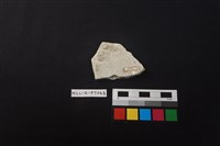 陶片藏品圖，第2張