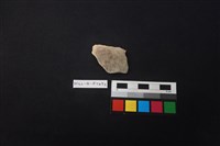 陶片藏品圖，第1張