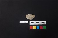 陶片藏品圖，第1張