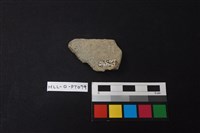 陶片藏品圖，第2張