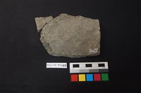 陶片藏品圖，第2張