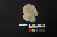 陶片藏品圖，第1張