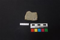 陶片藏品圖，第2張