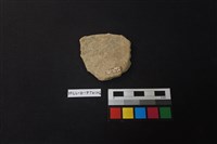 陶片藏品圖，第2張