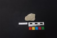 陶片藏品圖，第2張