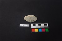 陶片藏品圖，第2張