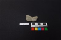 陶片藏品圖，第2張