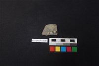 陶片藏品圖，第2張