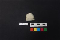 陶片藏品圖，第2張