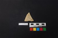 陶片藏品圖，第2張