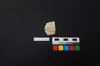 陶片藏品圖，第2張