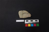 陶片藏品圖，第2張