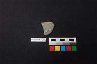 陶片藏品圖，第2張