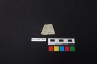 陶片藏品圖，第2張