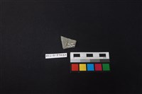 陶片藏品圖，第2張