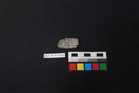 陶片藏品圖，第2張