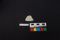 陶片藏品圖，第2張