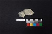 陶片藏品圖，第2張