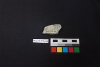 陶片藏品圖，第2張