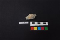 陶片藏品圖，第2張